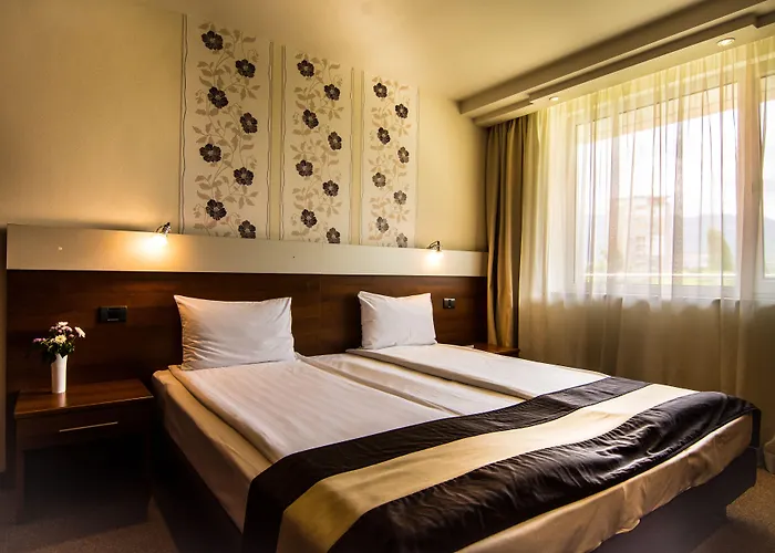 Forum - Free Parking For Cars